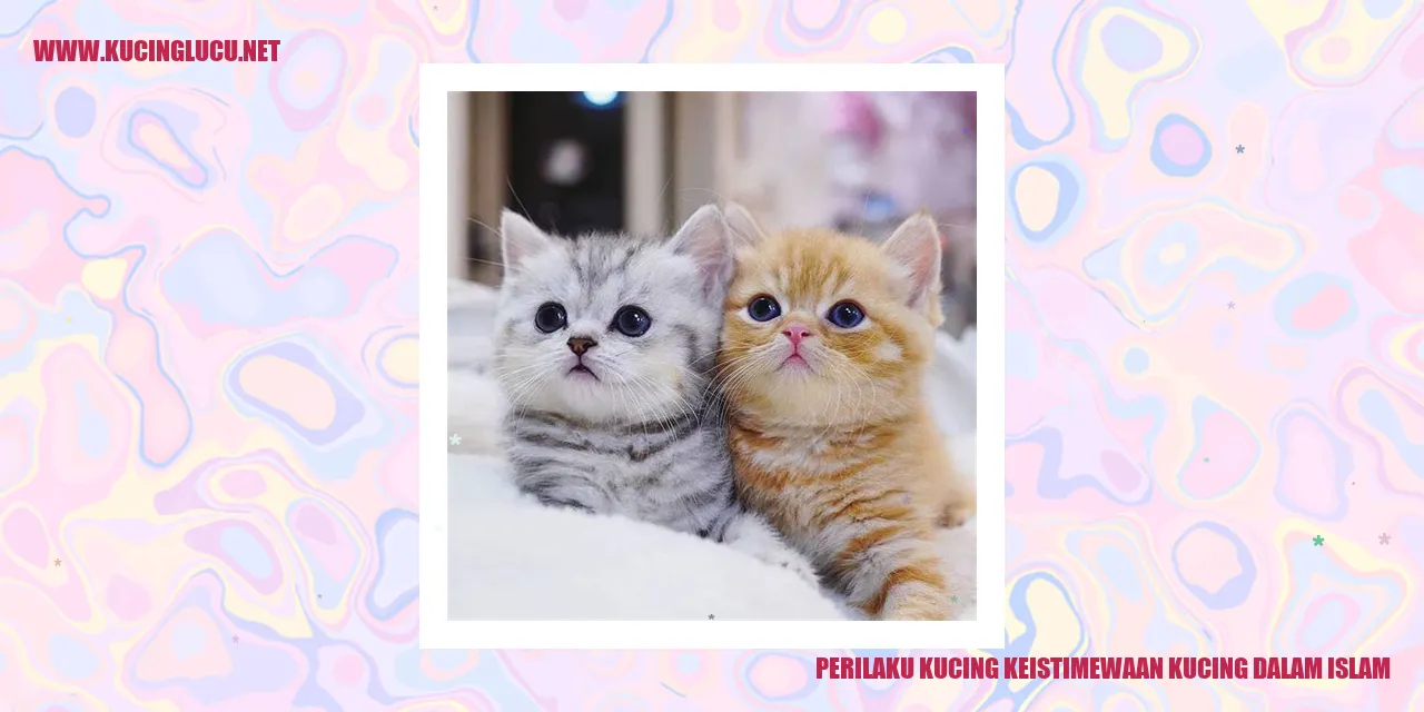 Kucing dalam Islam