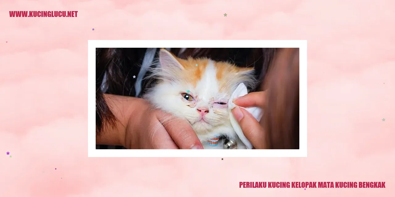 Kucing dengan kelopak mata bengkak