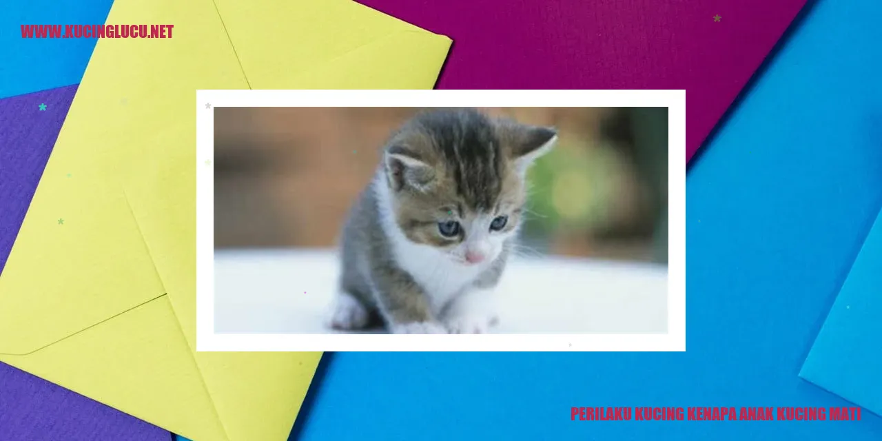 Kucing dan Anak Kucing