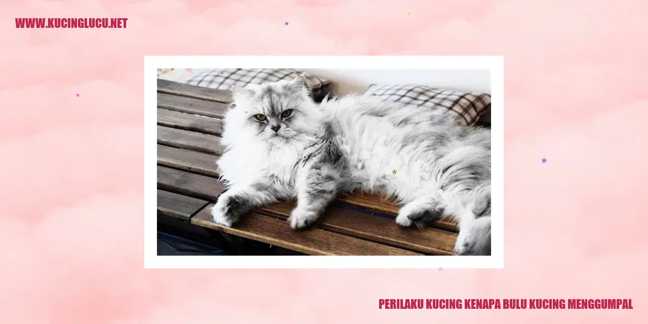 Bulu kucing menggumpal