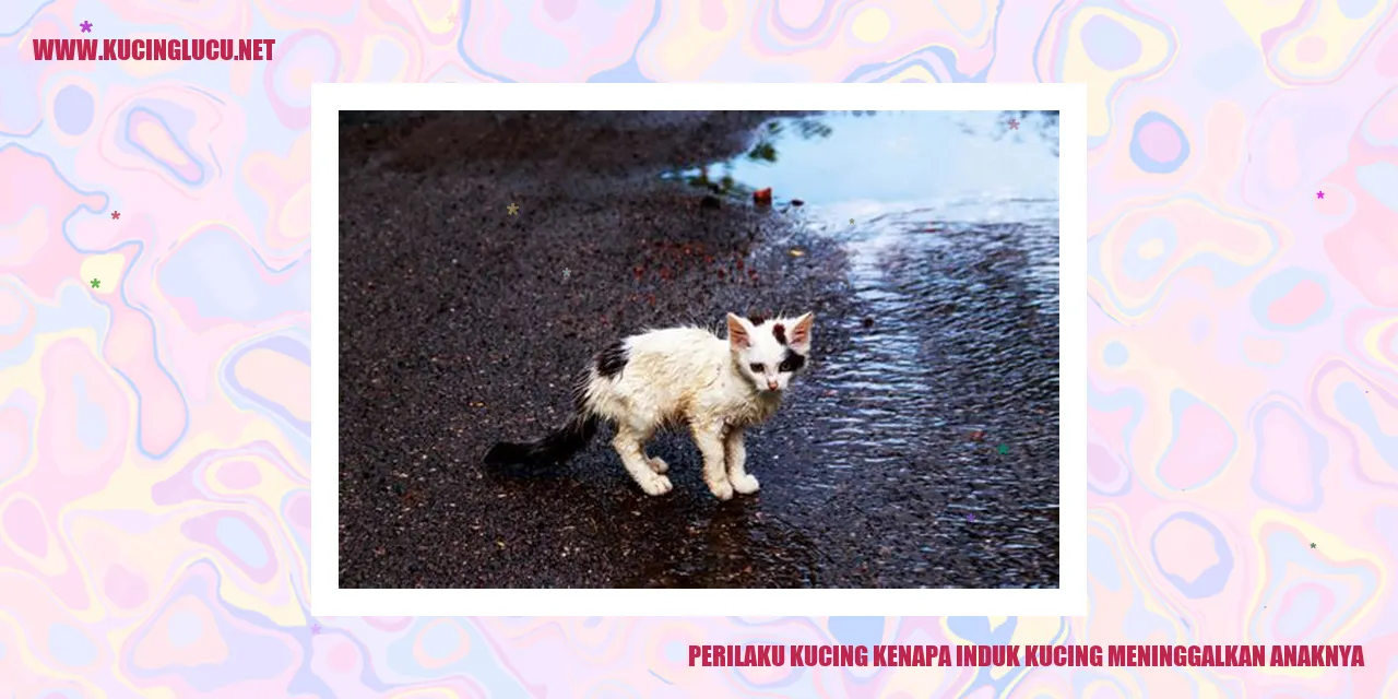 Gambar seekor kucing bersama anaknya