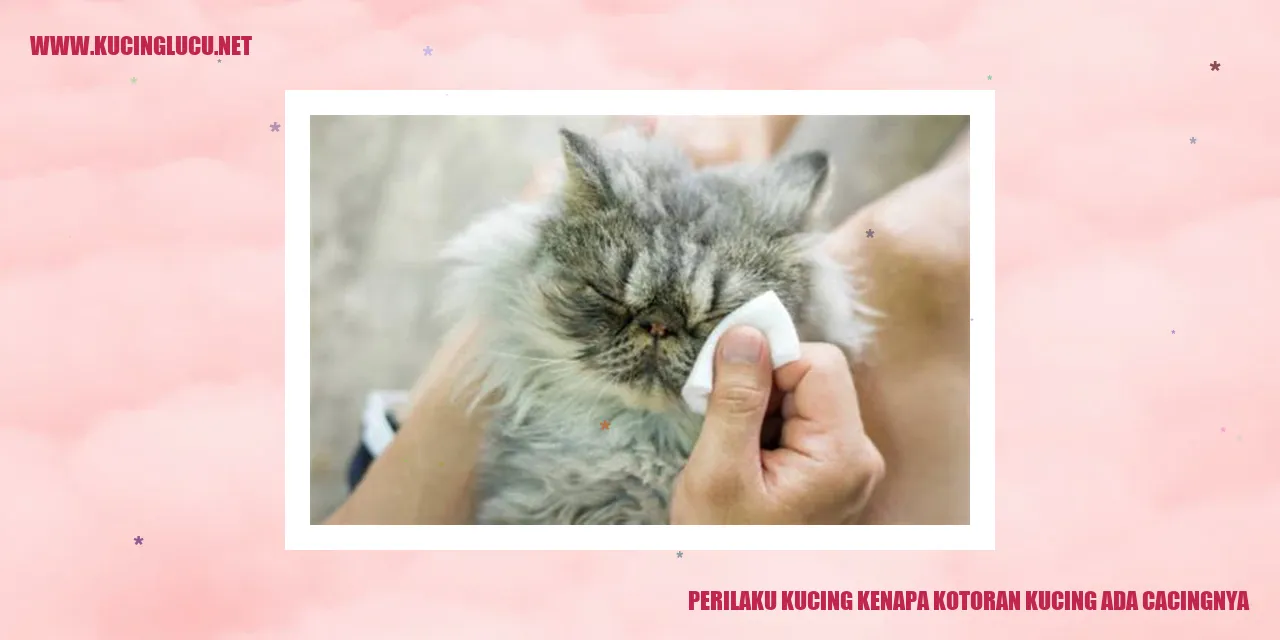 Perilaku Kucing kenapa kotoran kucing ada cacingnya