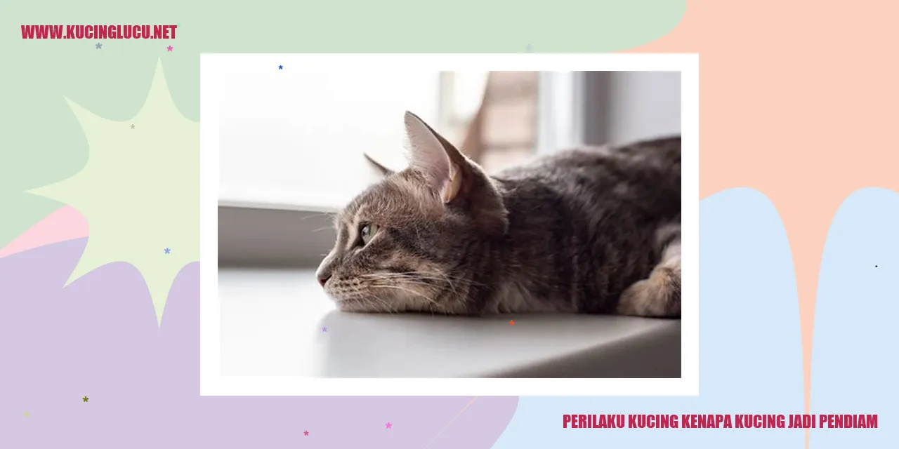 Perilaku Kucing kenapa kucing jadi pendiam