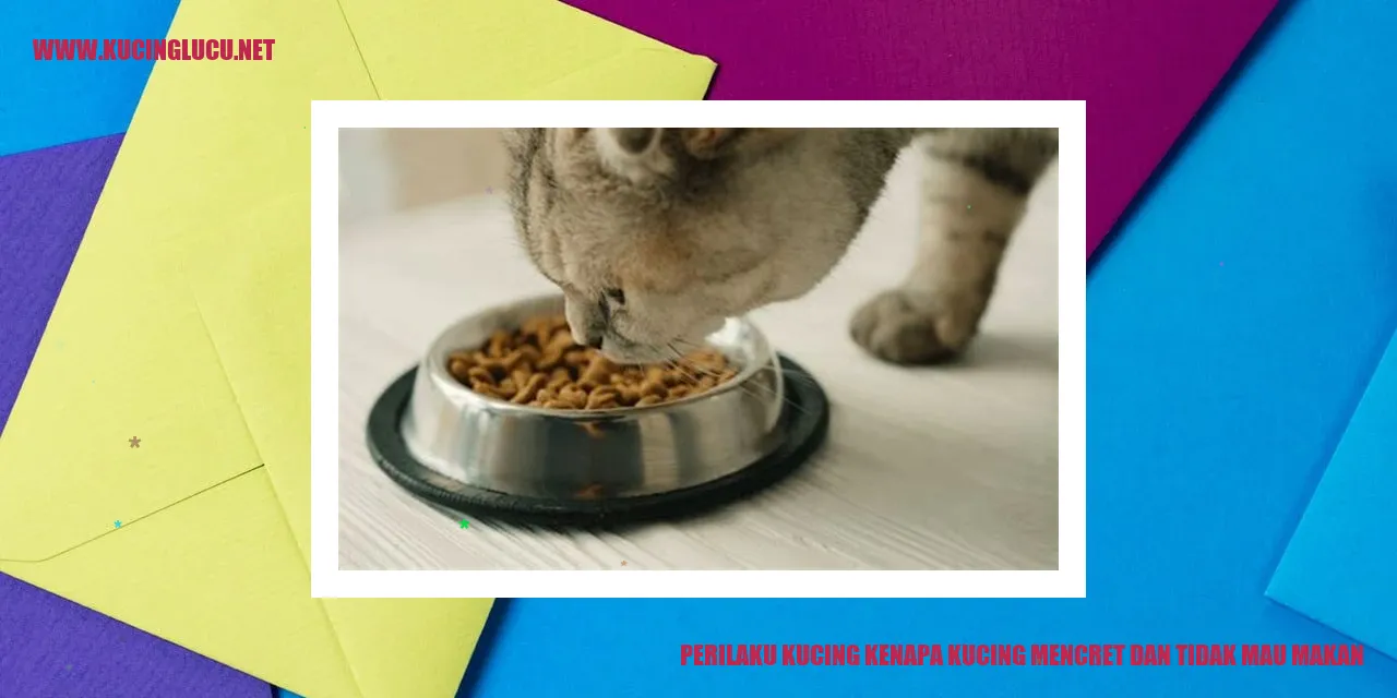 Kucing Mengalami Diare dan Kehilangan Nafsu Makan