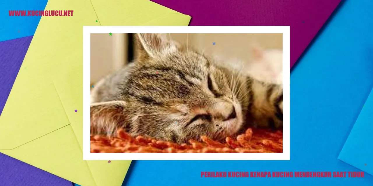 Perilaku Kucing: Mengapa Kucing Mendengkur Saat Tidur