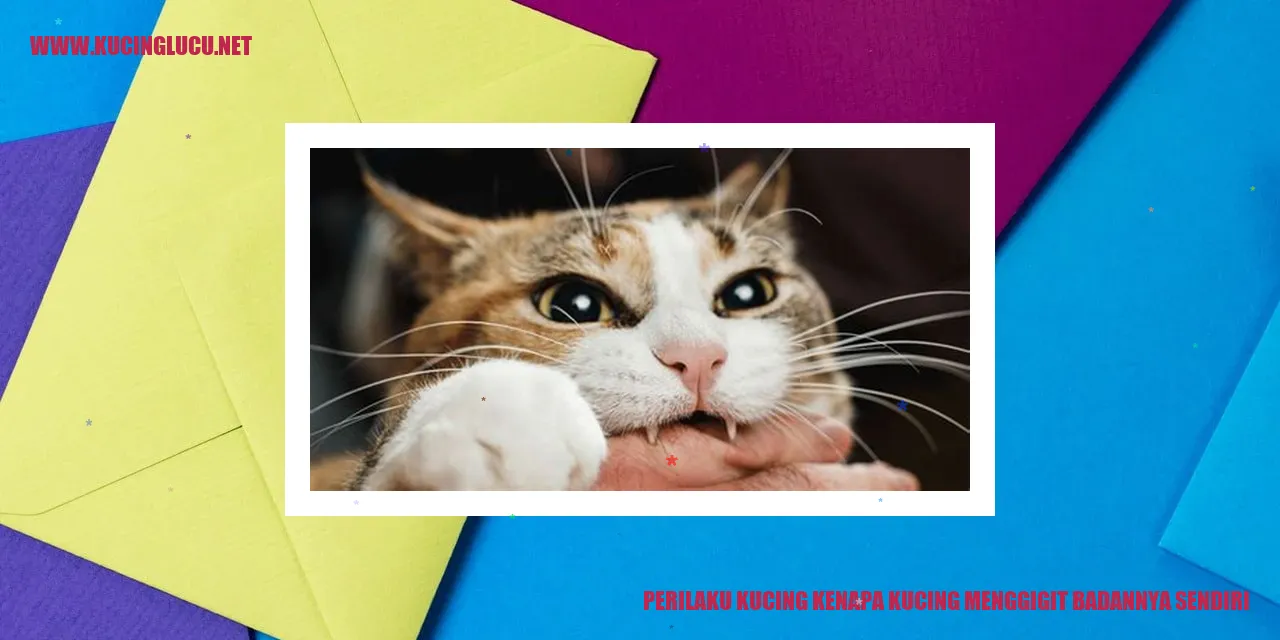 Perilaku Kucing Menggigit Badan Sendiri