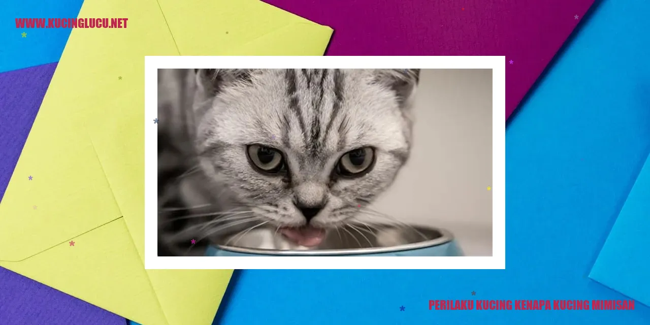 Gambar kucing mimisan