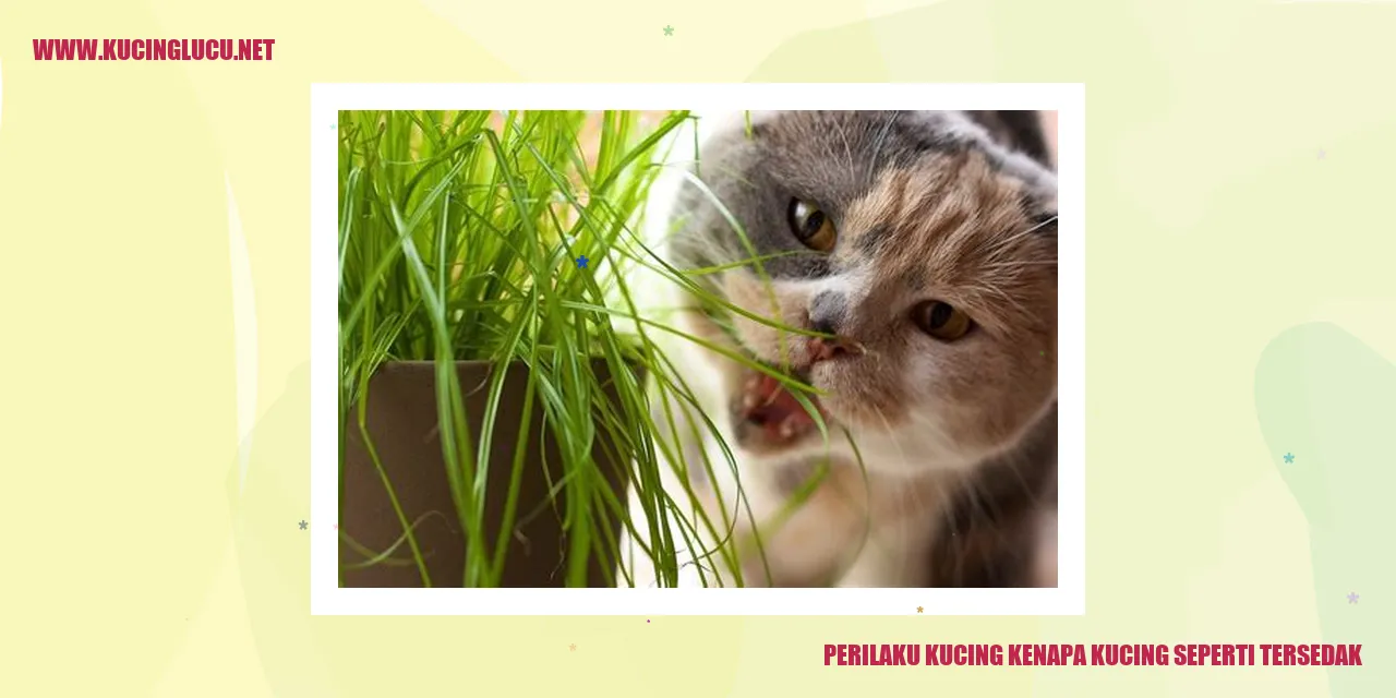 Perilaku Kucing tersedak
