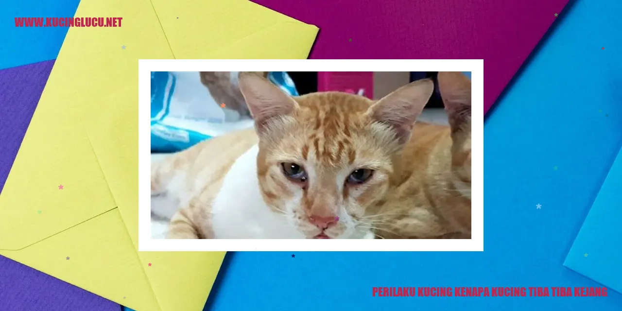 Kucing Kejang