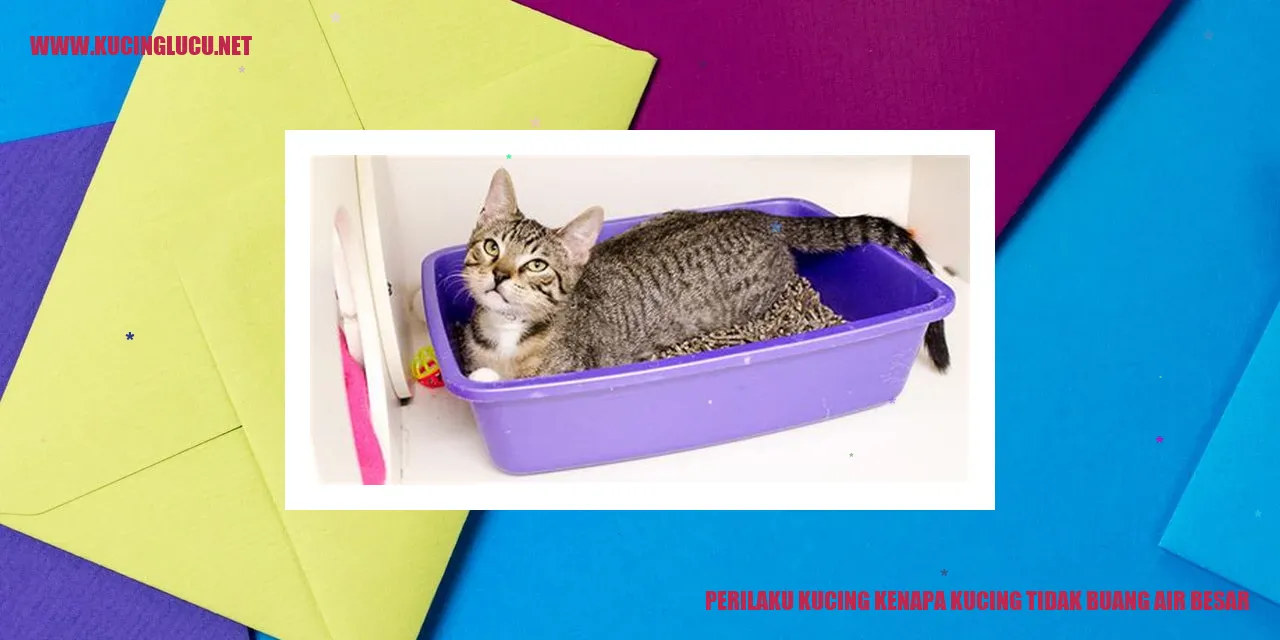Perilaku Kucing