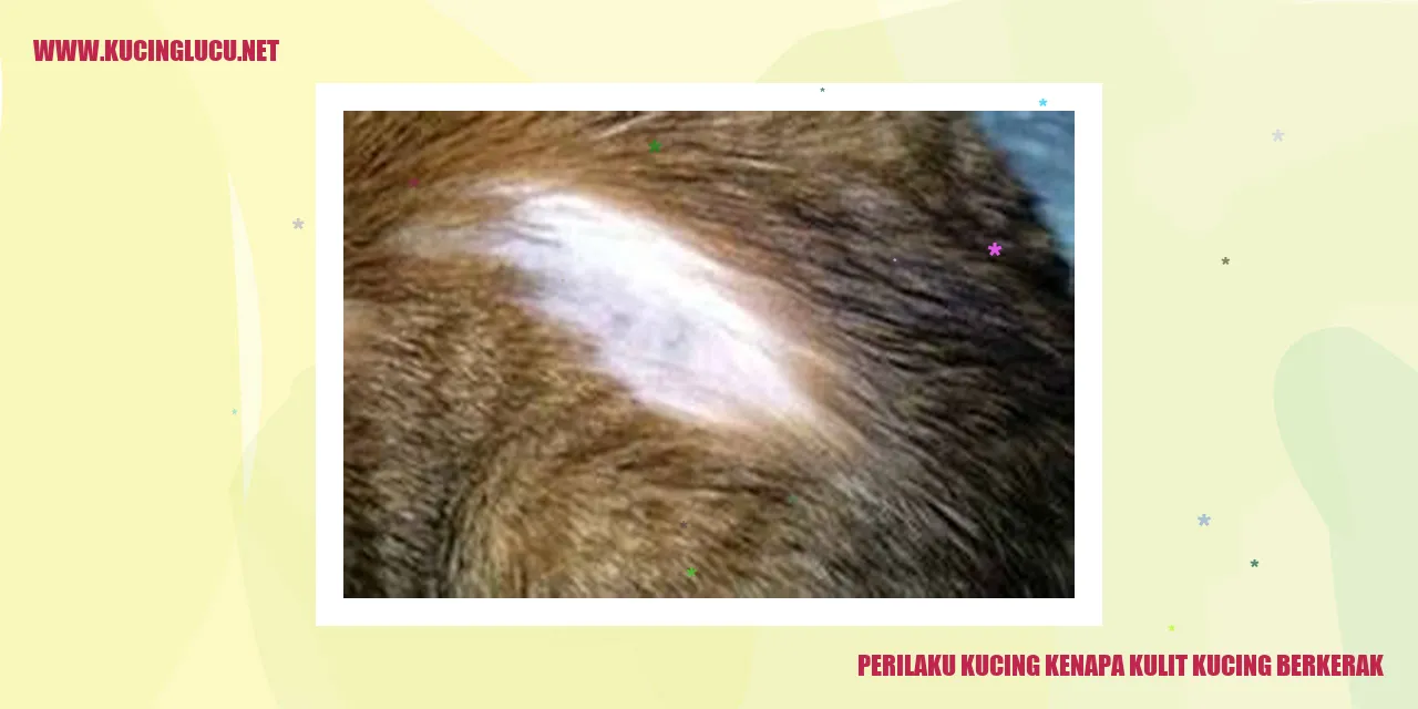 Kucing dengan kulit berkerak