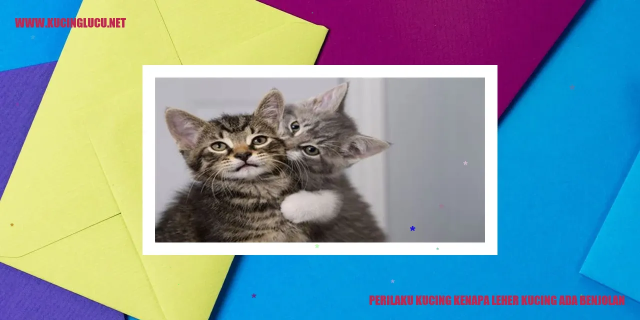 ilustrasi kucing dengan benjolan di leher