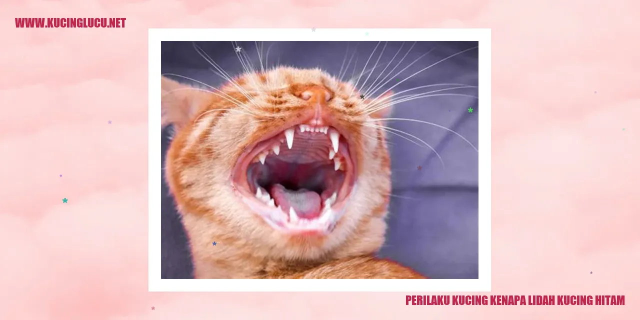 Perilaku Kucing kenapa lidah kucing hitam
