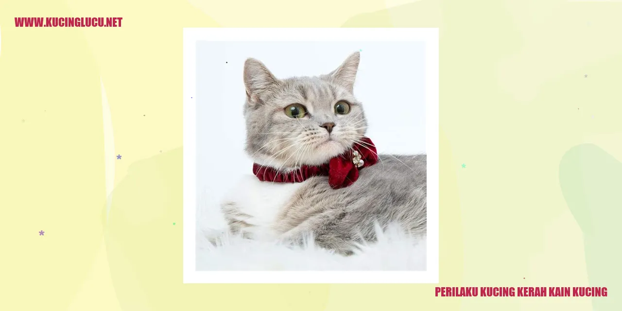 Perilaku Kucing dengan Kerah Kain untuk Kucing
