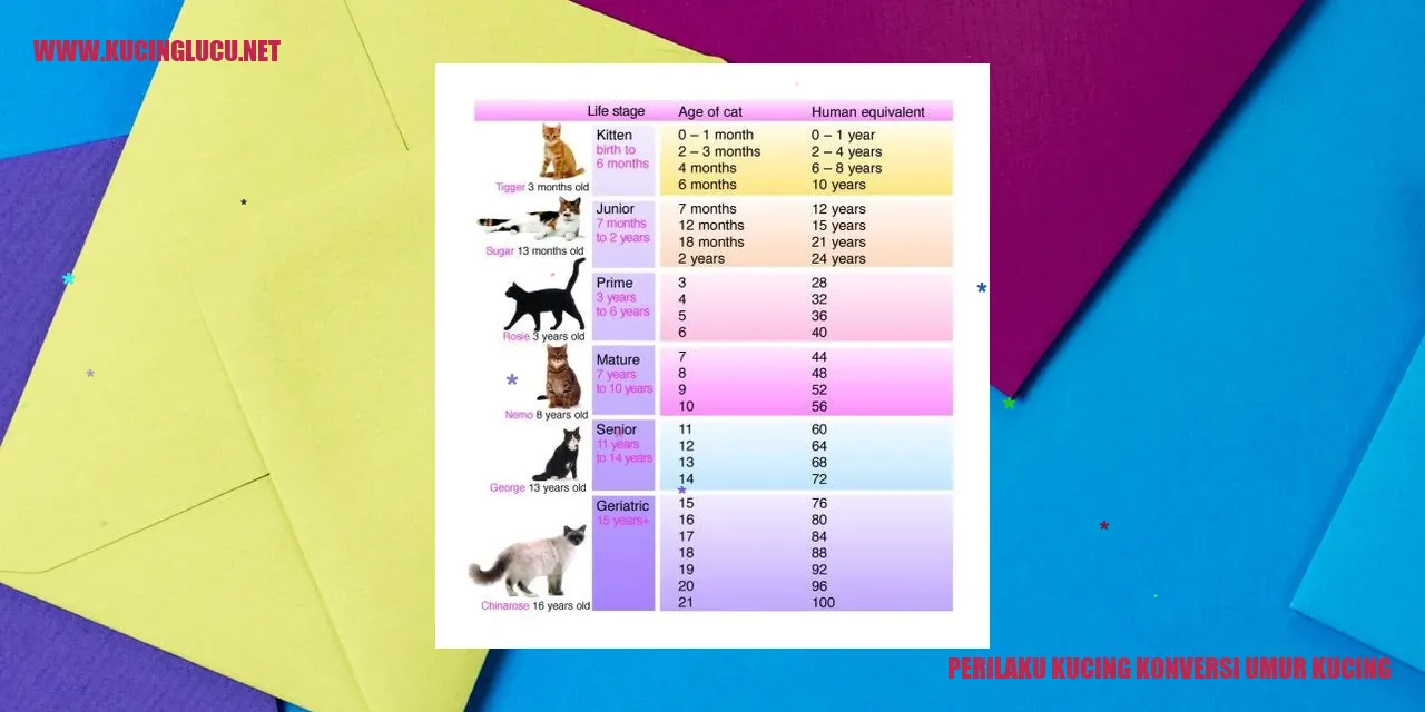 Perilaku Kucing konversi umur kucing