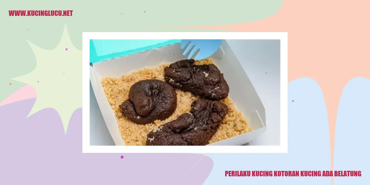 Perilaku Kotoran Kucing dan Keberadaan Belatung