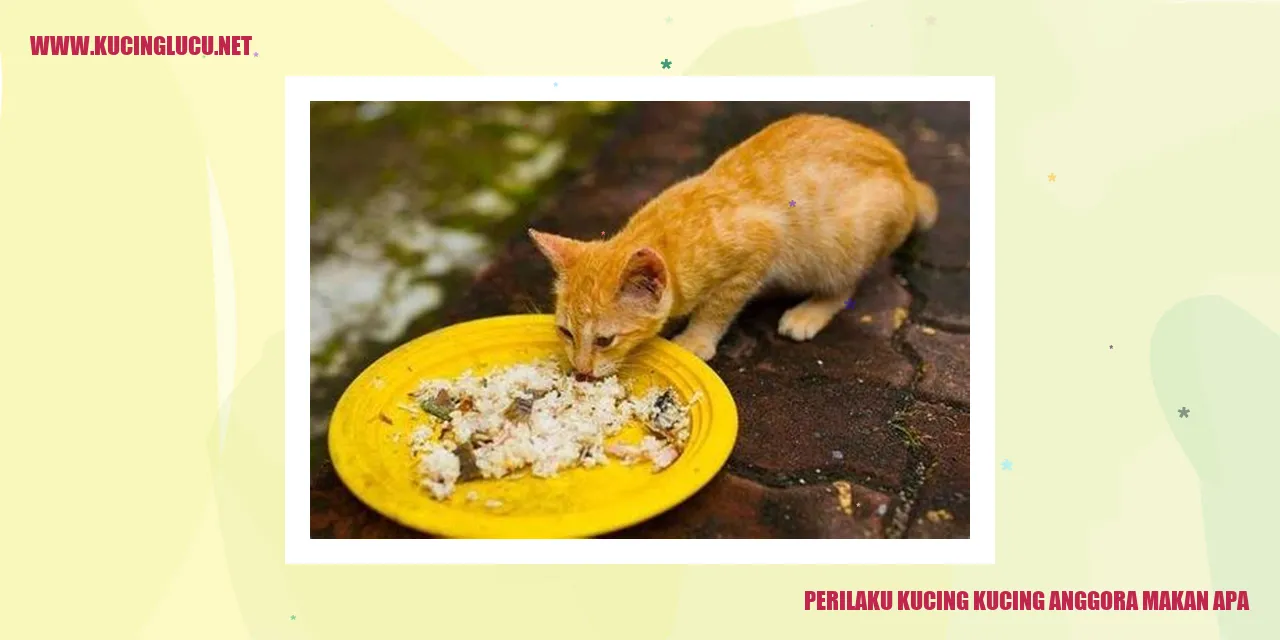 Kucing makanan