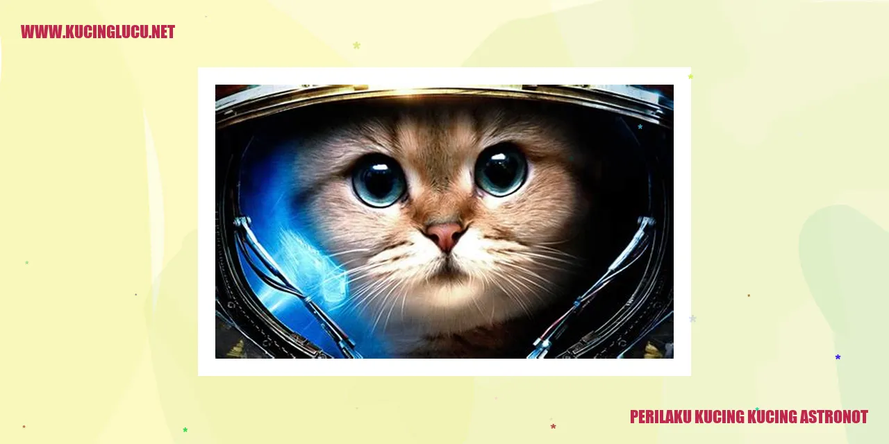 Kucing-kucing astronot