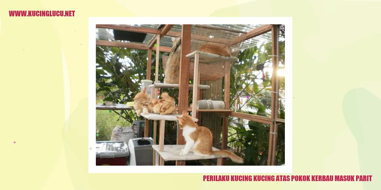 Gambar Kucing Menyusuri Pokok Kerbau dan Masuk Parit