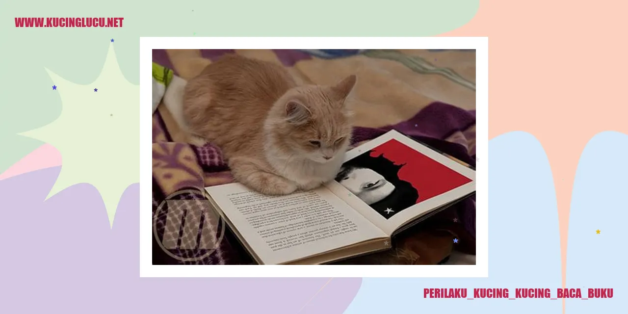 Gambar Kucing Menikmati Buku