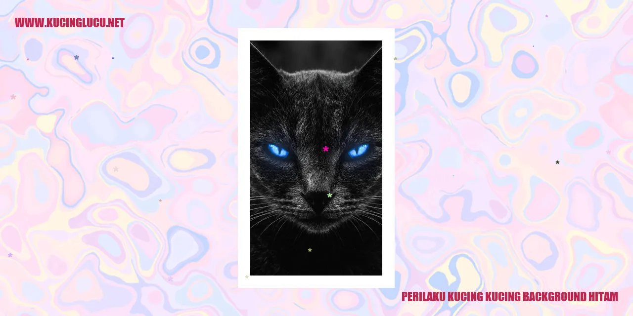 Kucing dengan Latar Belakang Hitam