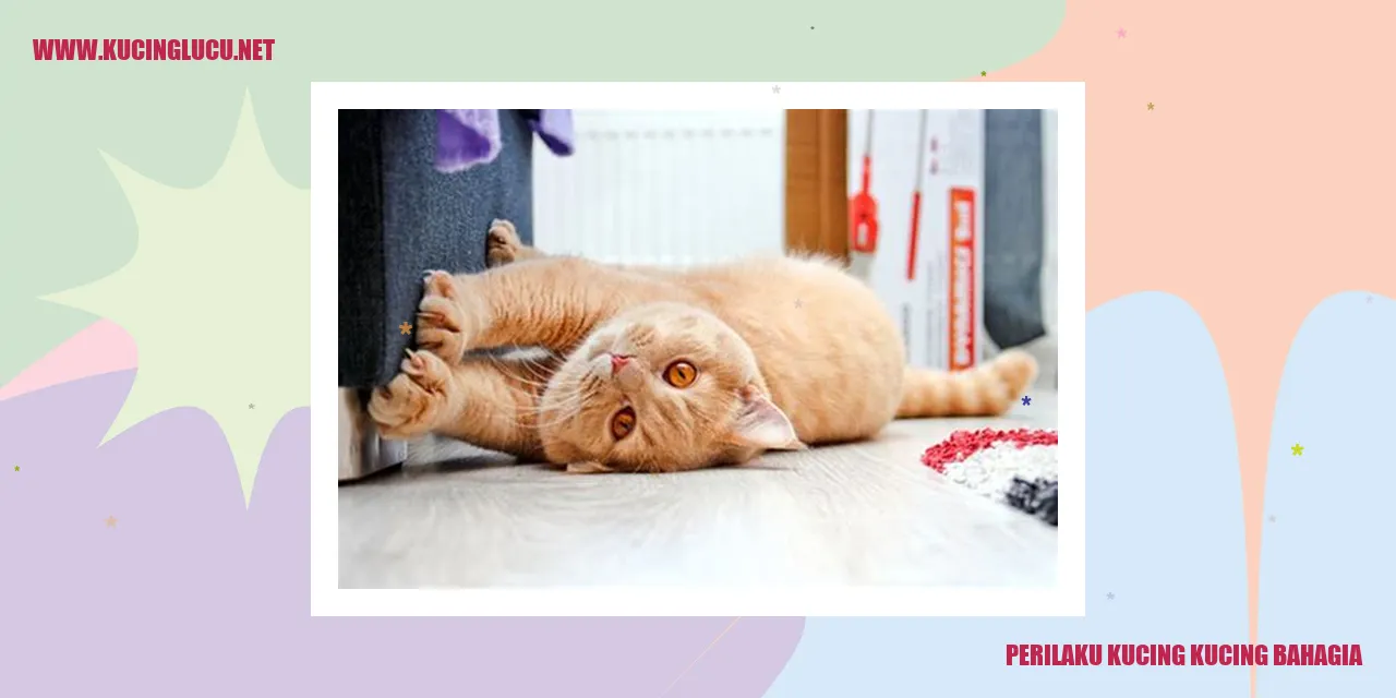 Perilaku Kucing Bahagia