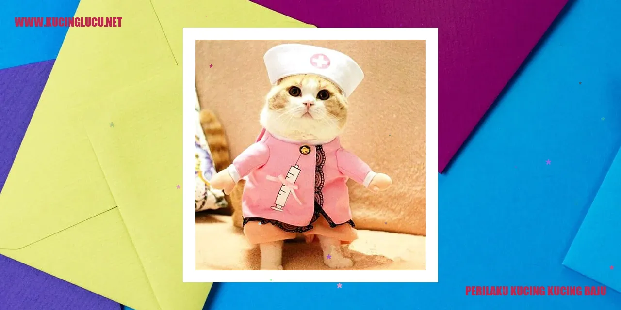 Perilaku Kucing Kucing Baju