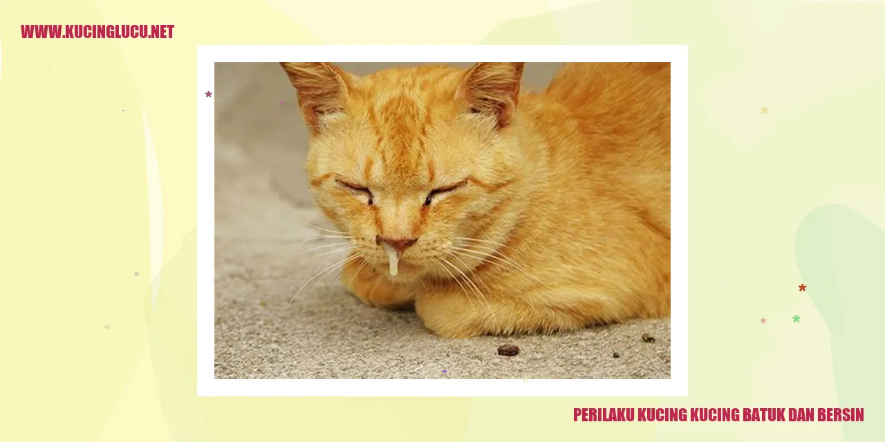 Gambar kucing batuk dan bersin