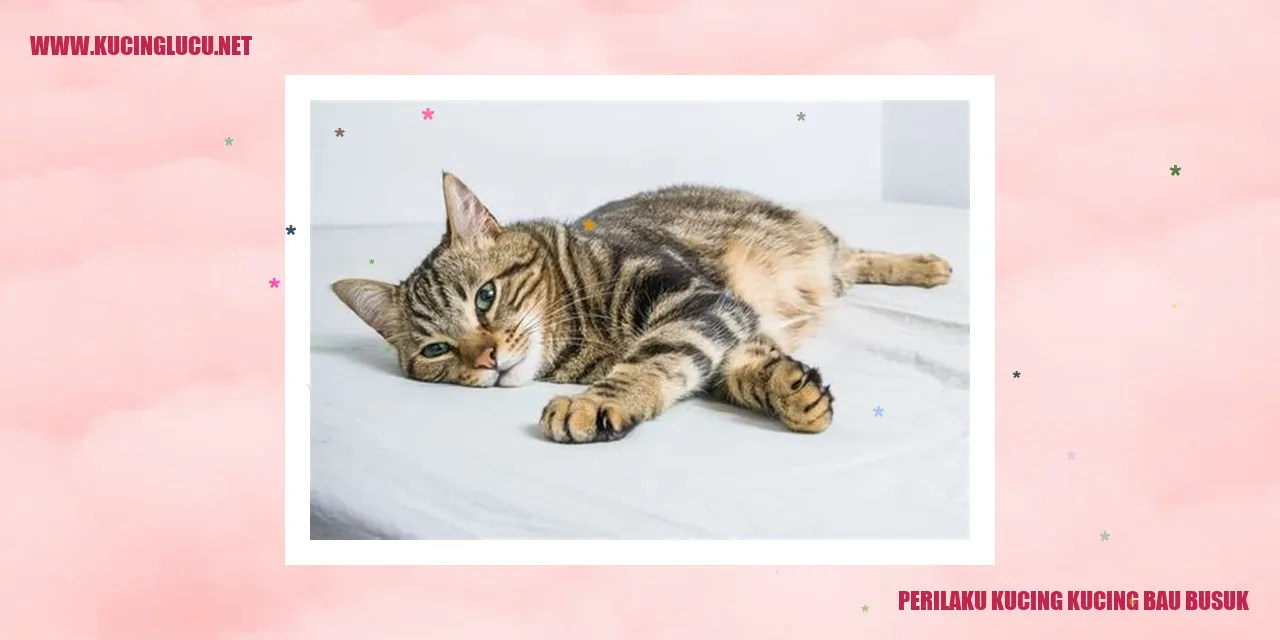 Kucing-kucing Bau Busuk