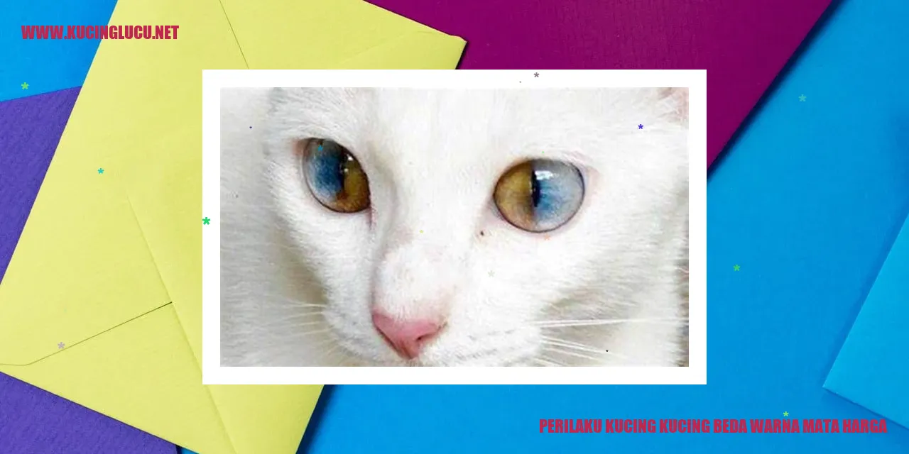 Karakteristik Kucing dengan Mata Berwarna Berbeda