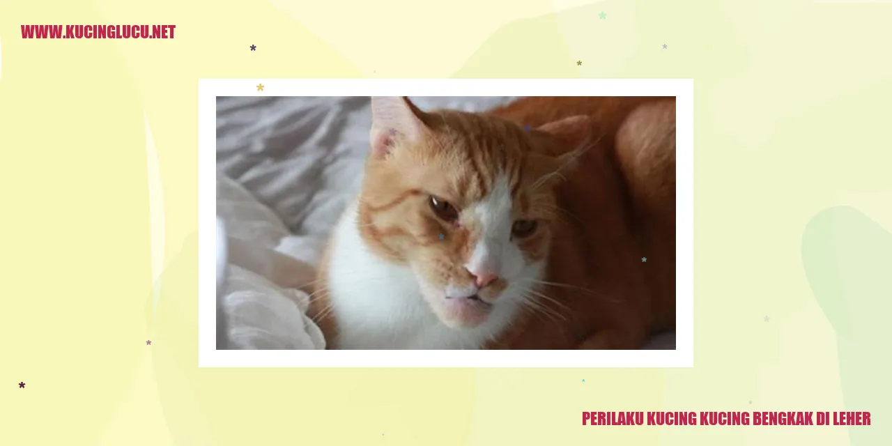 Kucing dengan bengkak di leher