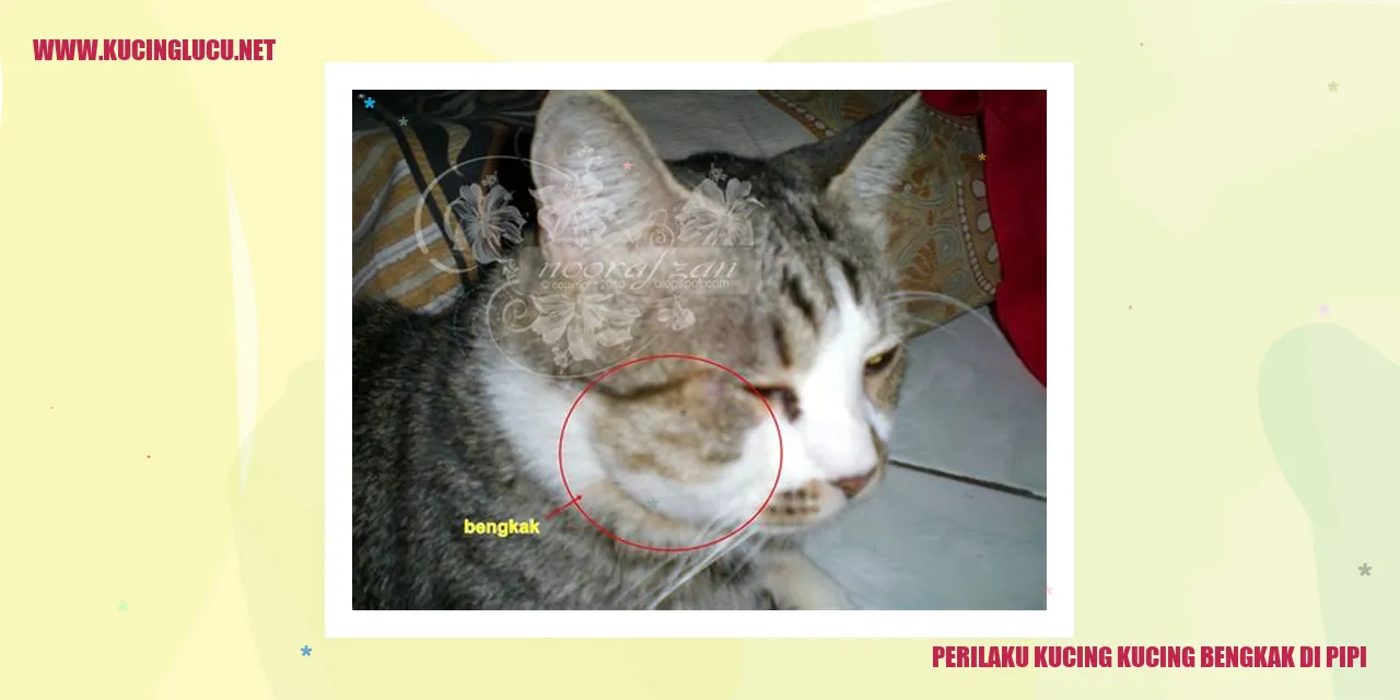 Gambar Kucing Bermasalah di Pipi