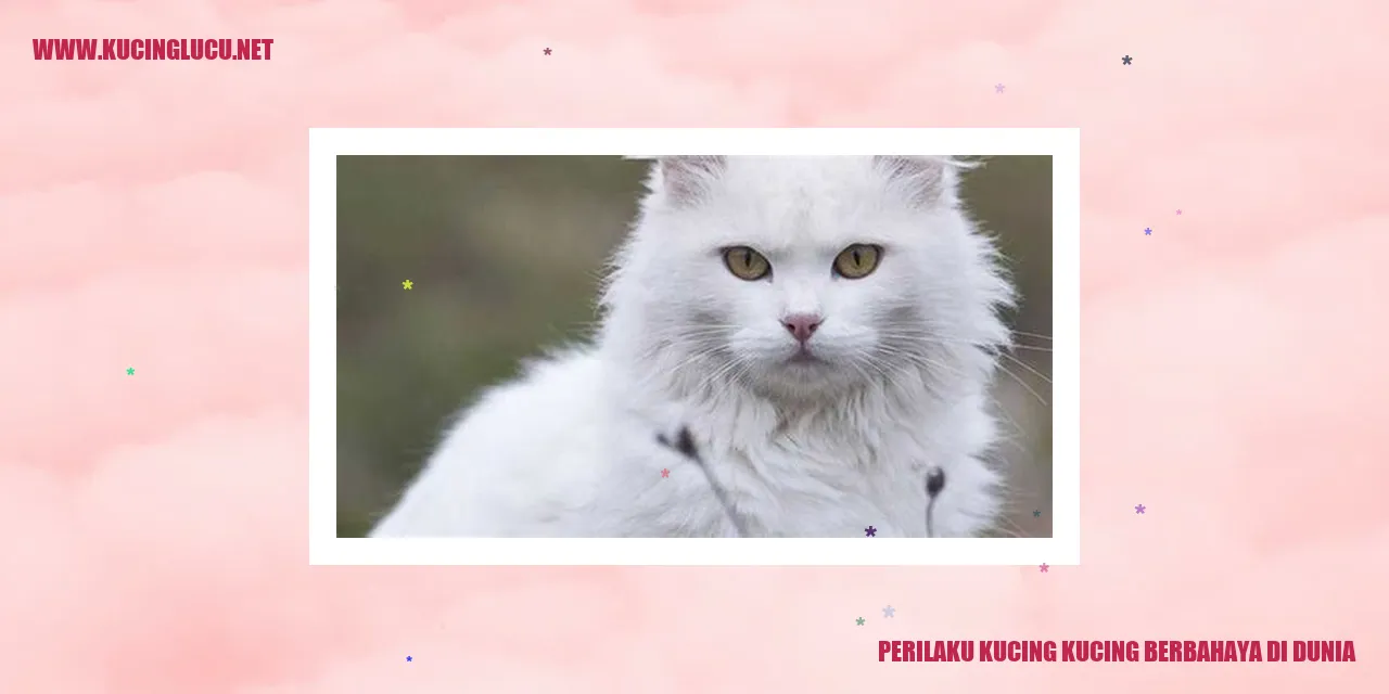 Perilaku Kucing kucing berbahaya di dunia