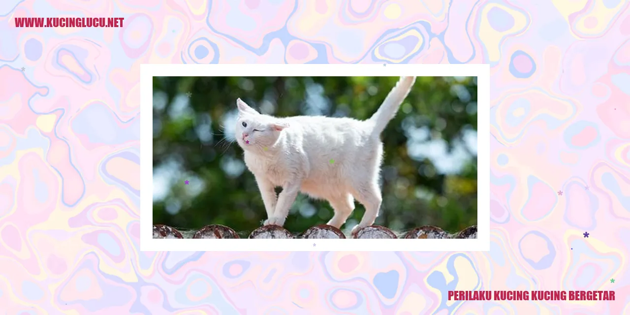 Perilaku Kucing Bergetar