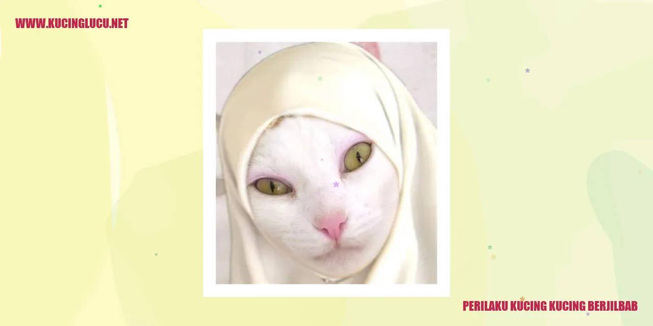 Kucing Berjilbab