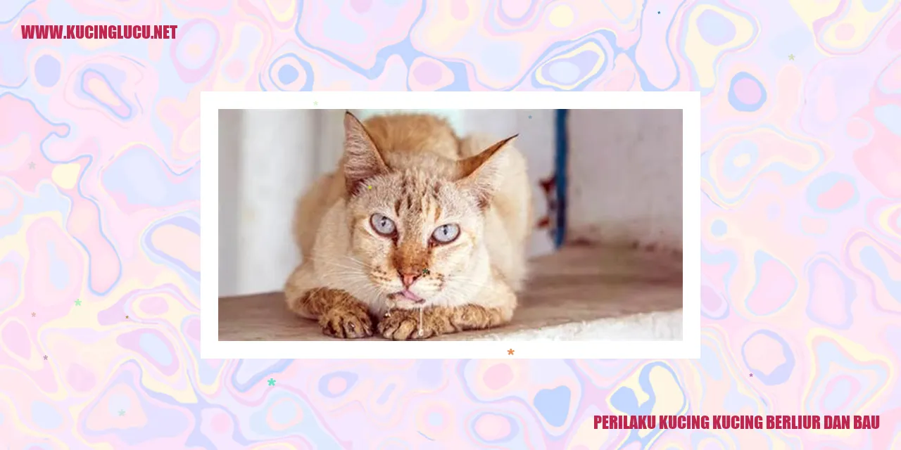 Kucing Berliur dan Bau