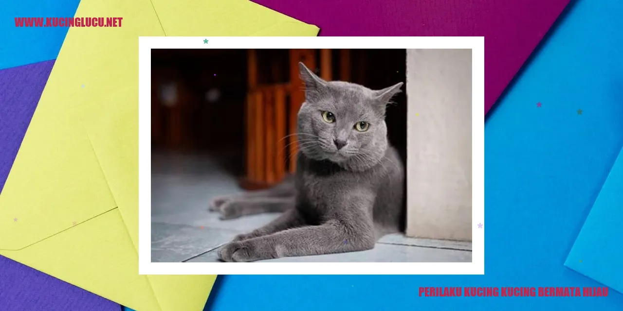 Kucing bermata hijau yang menawan