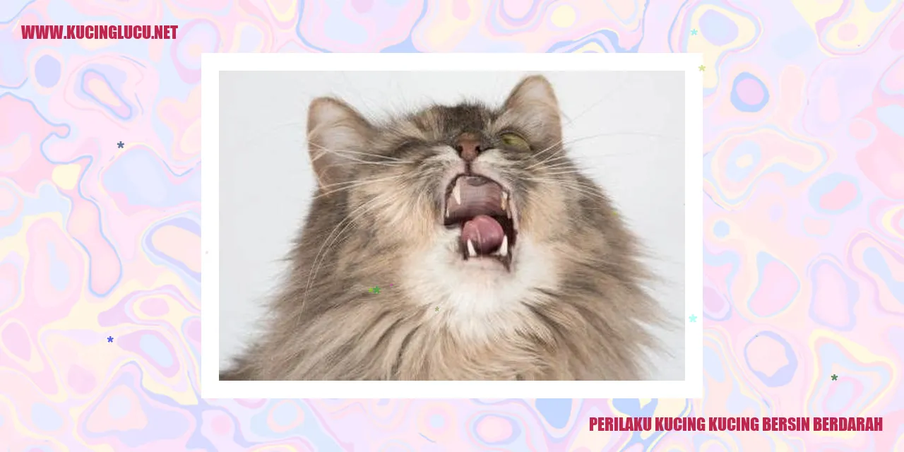 gambar kucing bersin berdarah