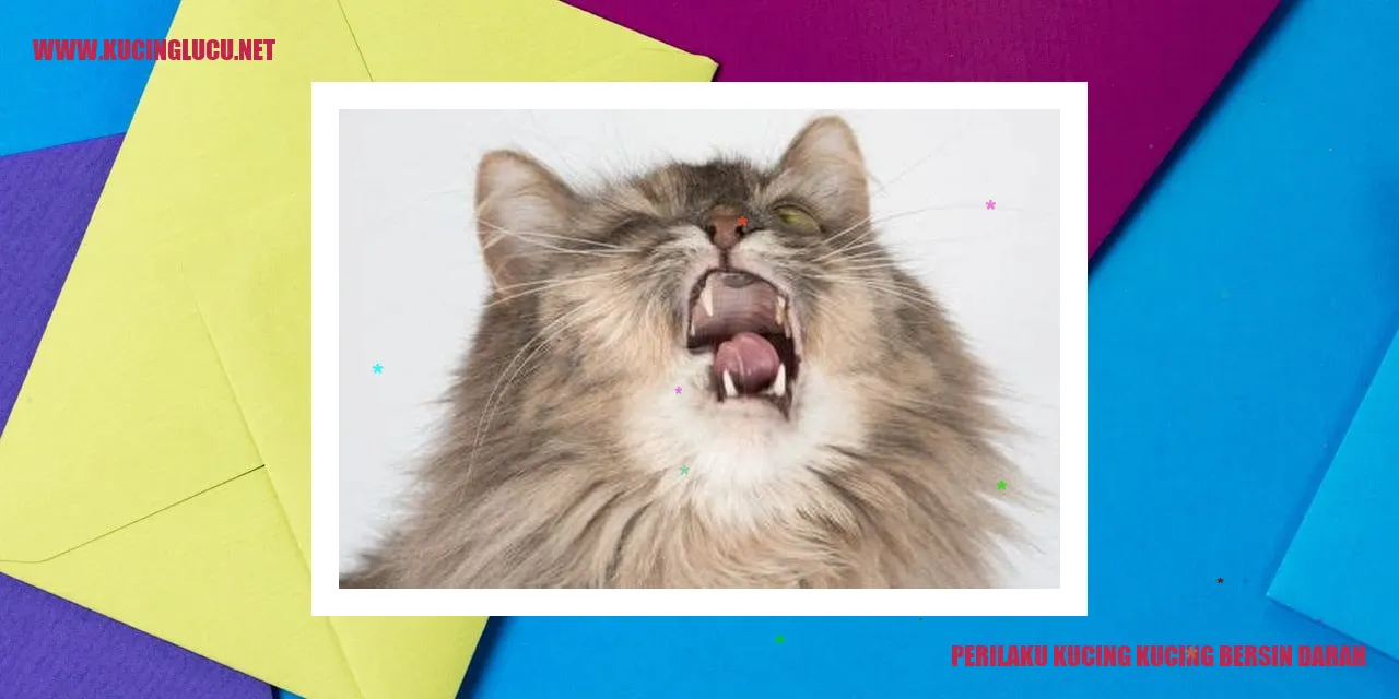 Perilaku Kucing Saat Mengalami Bersin Darah