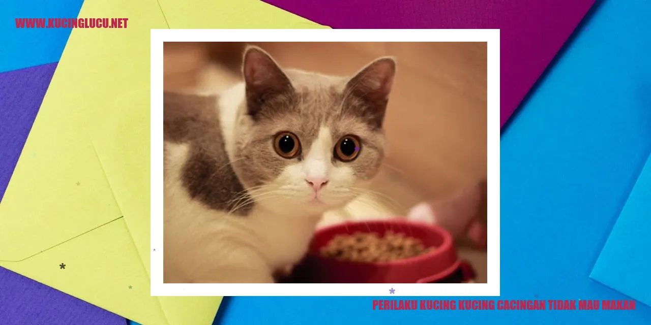 Perilaku Kucing yang Terkena Cacing dan Enggan Makan