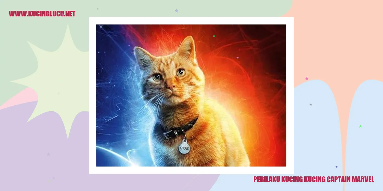 Perilaku Kucing-kucing Captain Marvel