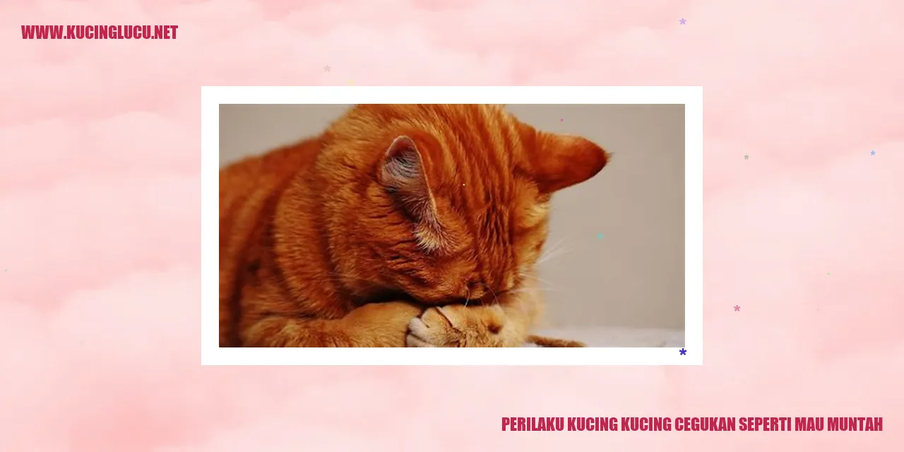 perilaku kucing