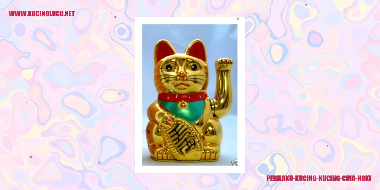 Perilaku Kucing Kucing Cina Hoki