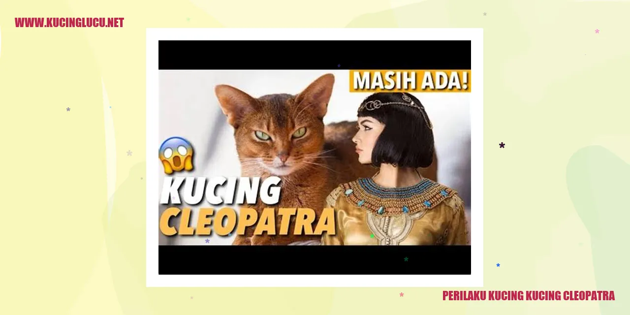Kucing Cleopatra
