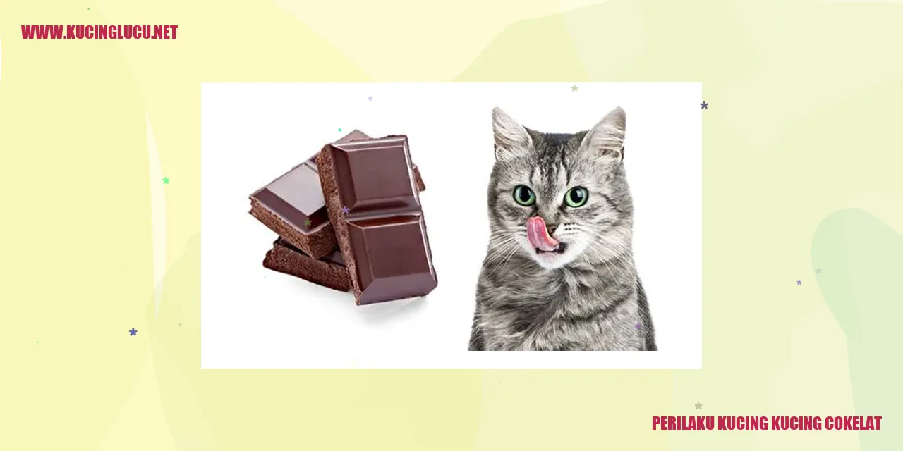 Perilaku Kucing-kucing Cokelat