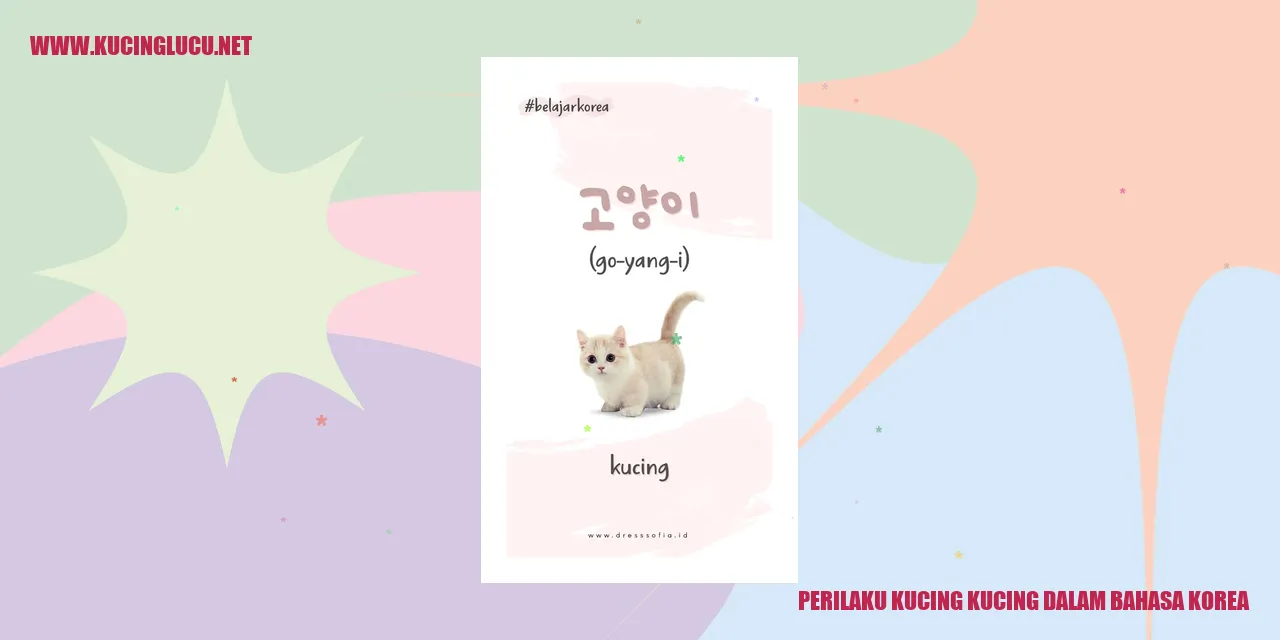 Gambar Kucing