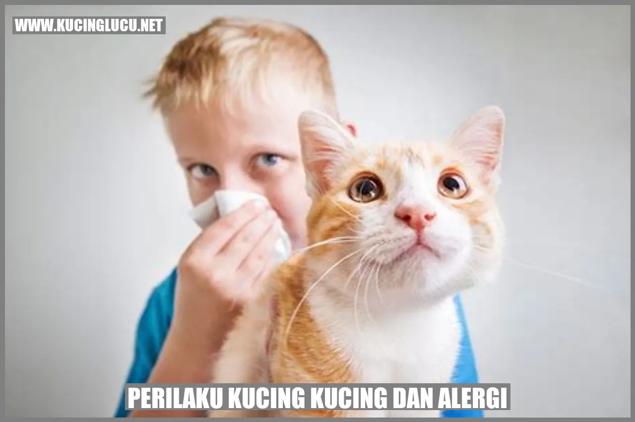 Perilaku Kucing Kucing dan Alergi