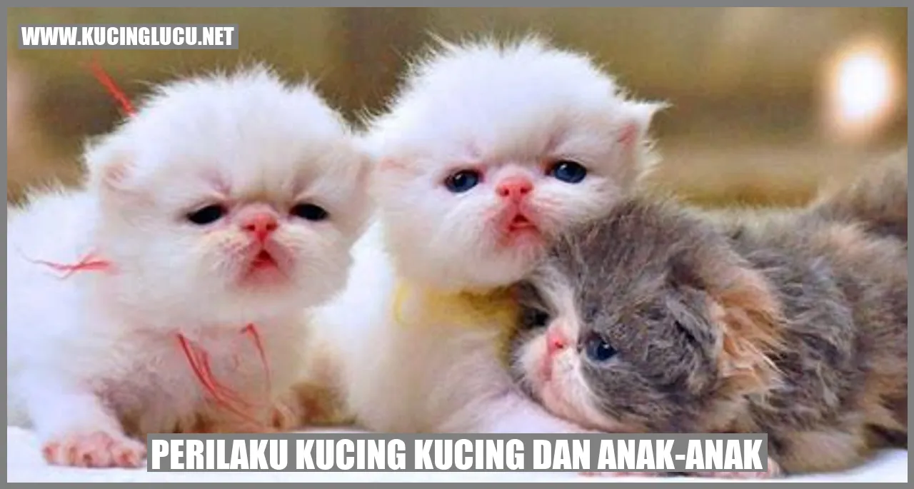 Perilaku Kucing Kucing dan anak-anak