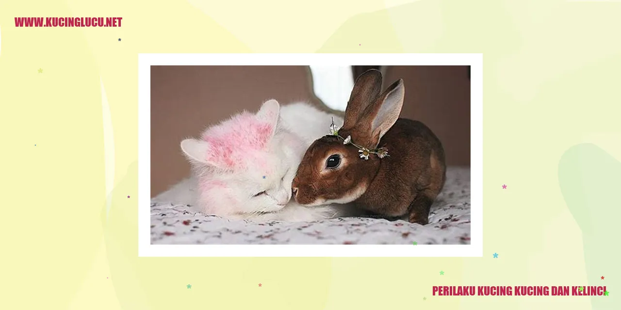 Perilaku Kucing dan Kelinci
