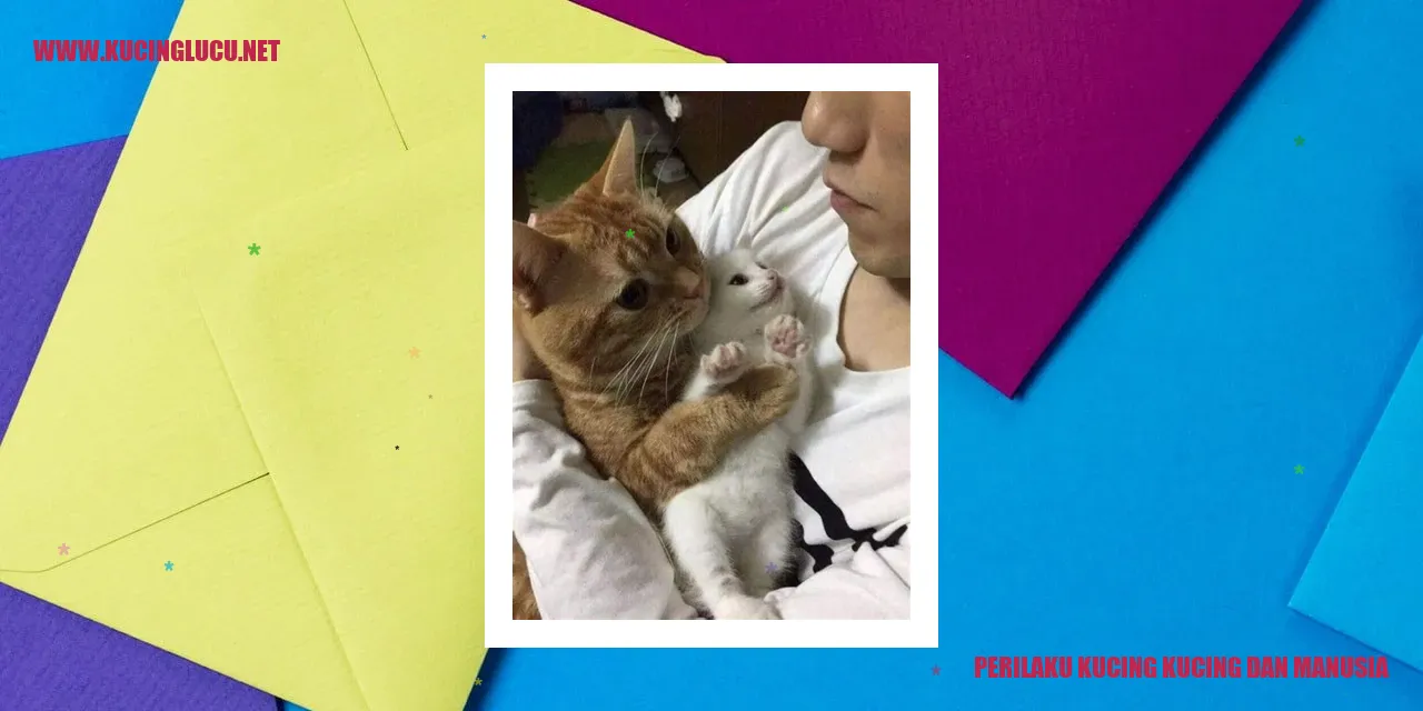 Perilaku Kucing dan Manusia